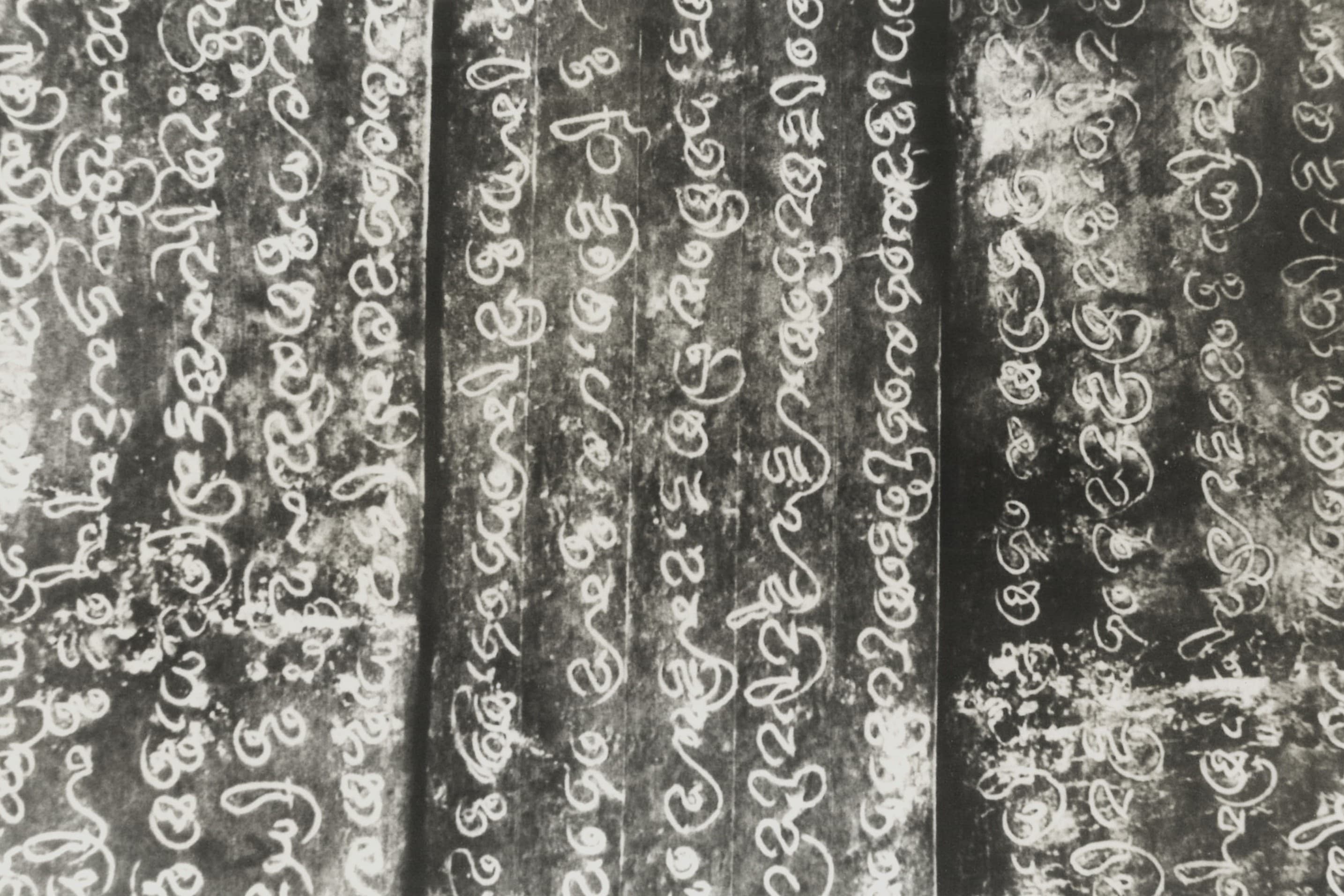 scroll-img-3